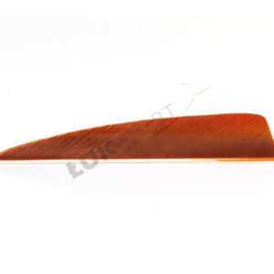 Lotki naturalne  Trueflight 4" shield/paraboliczne ( RH )