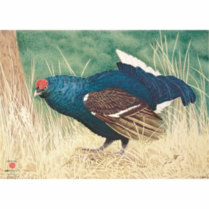Tarcza J.V.D. CIETRZEW