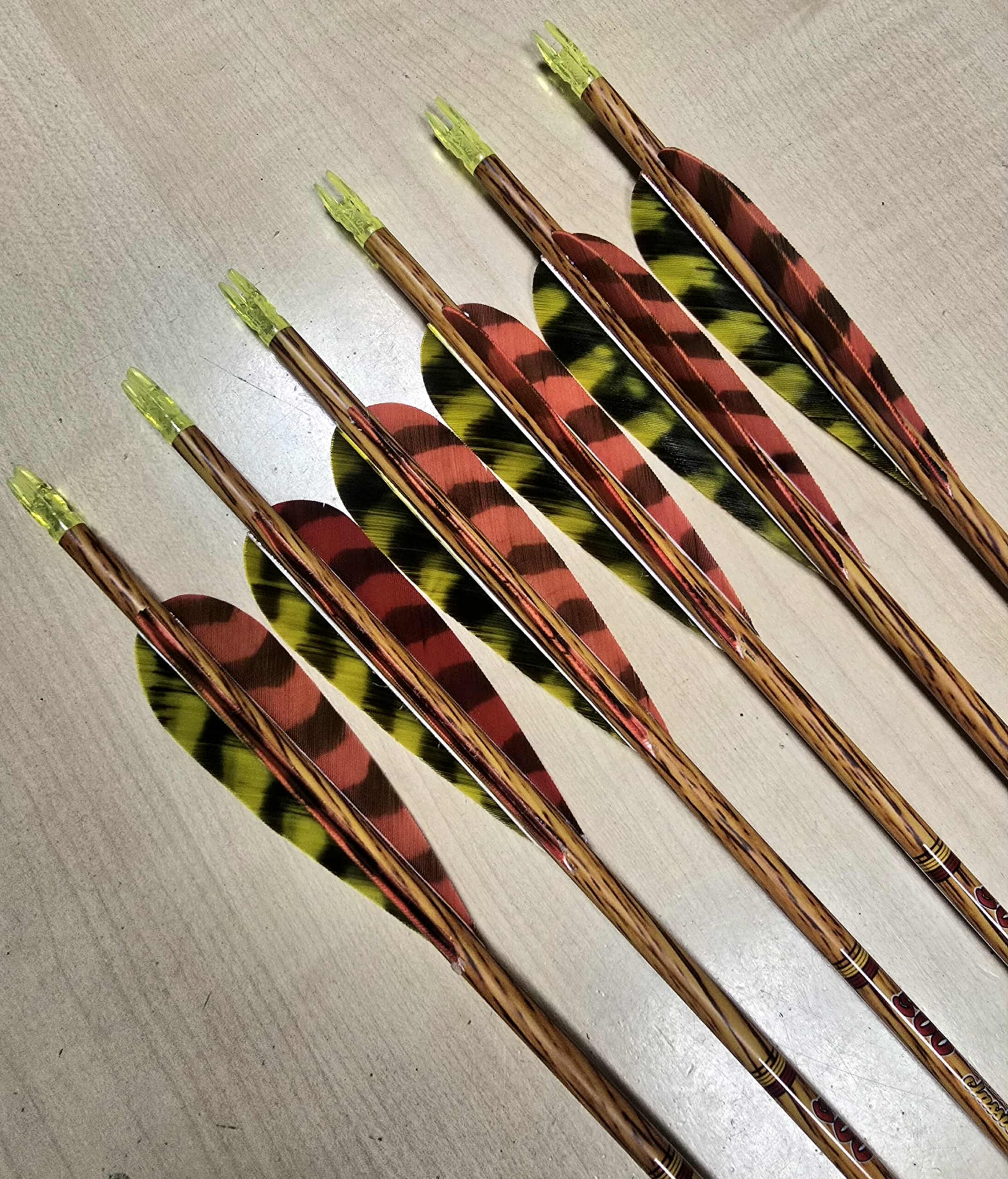komplet 6 strzał Skylon BENTWOOD 6.2 parametr 500 z lotkami naturalnymi 4" żółto - czerwone barred parabolic